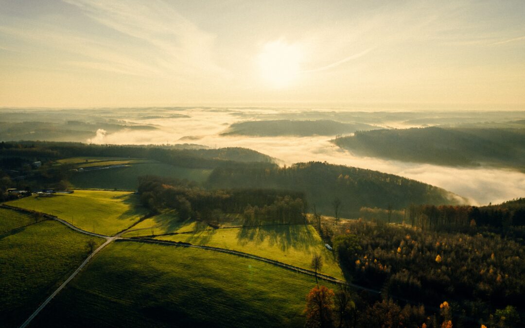 Detektiv Hans in Lüdenscheid: Ein Blick hinter die Kulissen einer erfolgreichen Detektei